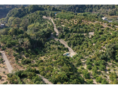 どの坂果樹園　果汁100％　みかんジュース　720ml×2本