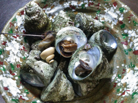 小泊産‼したんだめ1.5kgとしろけ2kgセット