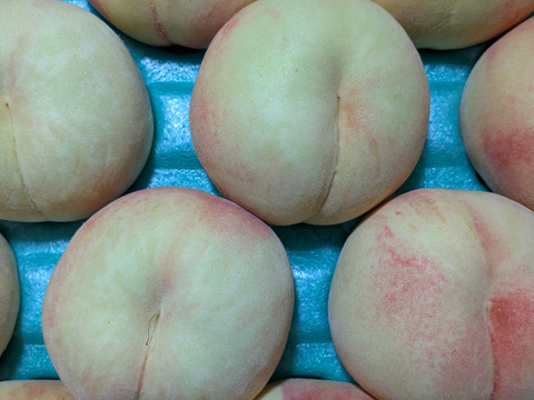 桃あかつき5㎏家庭用