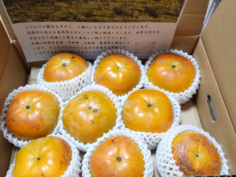 人気急上昇中の太秋柿　家庭用3キロ