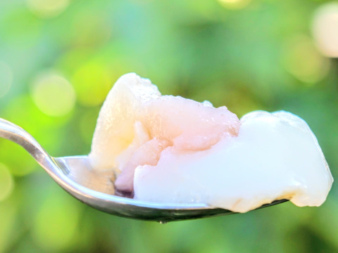 専門家監修！新発売「ももミルクぷりん」入り桃尽くしセット<解凍レベルも楽しめます>