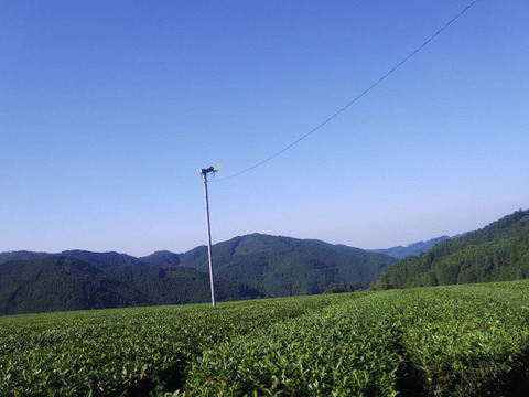 リクエスト分煎茶3コ・和紅茶セット9袋