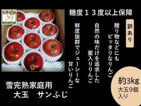 青森りんご　大人気　先行予約「糖度１３度保証」家庭用蜜入り希少１００年雪完熟サンふじ大玉３kg9個入り
