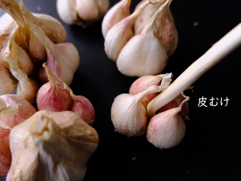 我が家用 不揃い訳あり有機にんにく約1kg