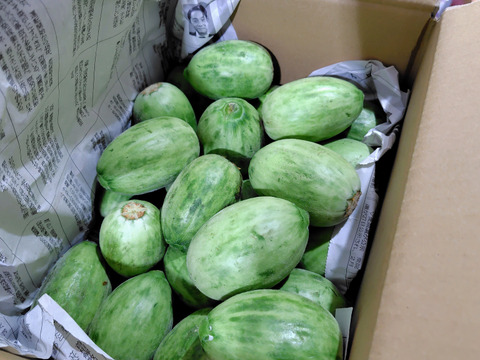 本日最終　地元で大人気❣️摘果メロン《子メロン》(2kg)