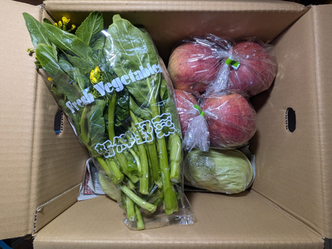 キャベツ、アスパラ菜、リンゴ