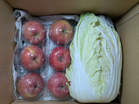野菜(白菜、ネギ)、お米、リンゴの詰め合わせ