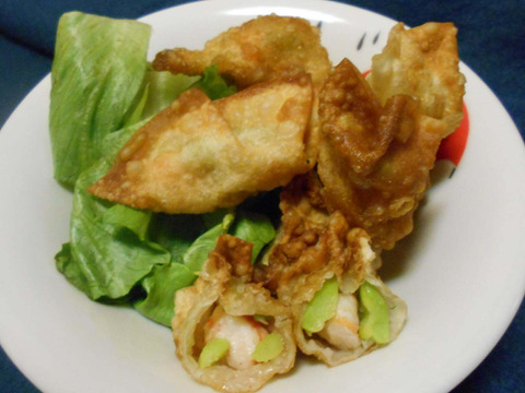 春の味覚たっぷり！指宿産そらまめ『いぶすき陵西』（ご家庭用・5kg）