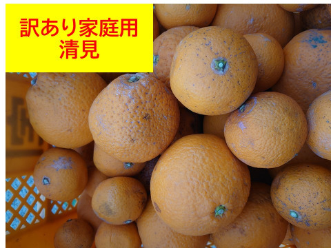 訳あり「清見オレンジ」５㎏。