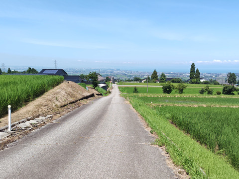 【令和7年新米】富山湾一望米7年産コシヒカリ玄米30kg