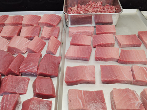 【年末年始予約用】【天然】本マグロ/中トロ/切り分け急速冷凍/74〜85g【冷凍】