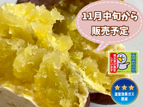 特別栽培🎖️【自然栽培🍠熟成安納芋（約１.５kg）】クリーミーな舌触り・焼き芋にオススメ！