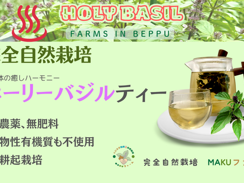 暑さを喜ぶパワー植物　2025年産　ホーリーバジルティー　20g　合計２パックセット