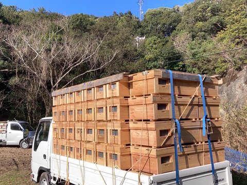 【春採れ】新蜜　非加熱･無添加　国産はちみつ【山桜】500g
