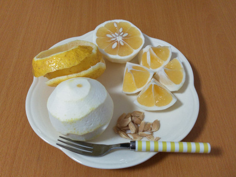 高知特産柑橘食べ比べ♪土佐文旦訳あり3〜4個（1.8〜2kg）＆小夏