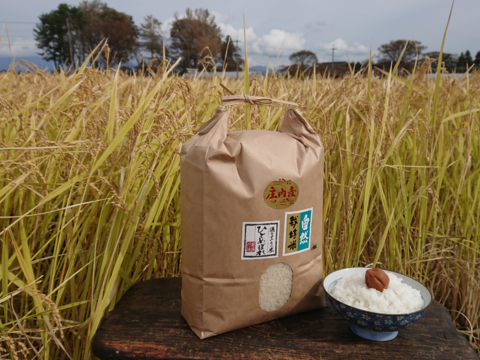 【 玄米・20kg 】米の旨味たっぷり 自然栽培米 ひとめぼれ