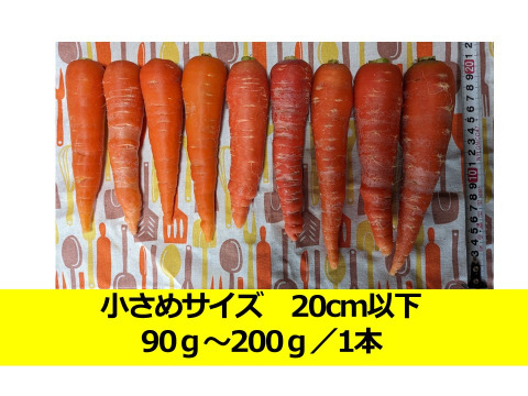 有機JAS認証 寒さで甘くなった人参「京くれない」8㎏