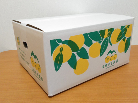 食べ切りサイズ♪  土佐文旦　小玉(M〜2Lサイズ、250～550g)　3kg　等級無選別　化学合成農薬栽培期間中不使用　高知県土佐市産　家庭用　※北海道への配送はできません