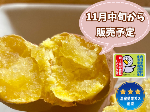特別栽培🎖️【自然栽培🍠熟成シルクスイート（約１.５kg）】滑らかな舌触り・焼き芋にオススメ！