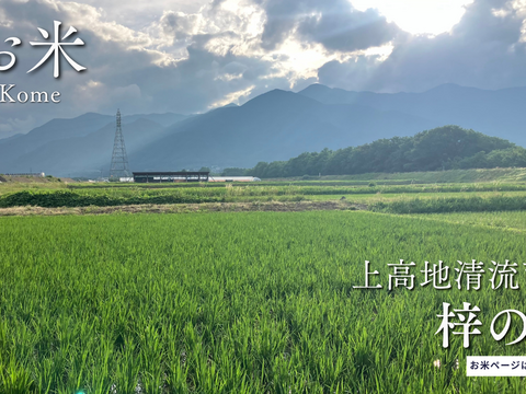 【令和７年産】低農薬栽培米　コシヒカリ　白米　5kg