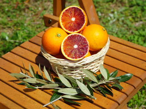 【有機JAS認証】ブラッドオレンジ10kg(タロッコ)