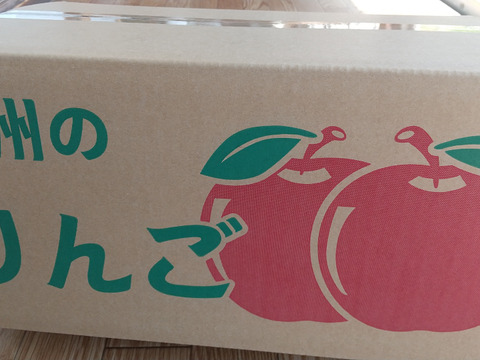 信州りんご🍎サンふじ2段約9キロB品(23～42個)