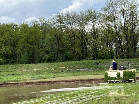 【令和７年産】低農薬栽培米　コシヒカリ　玄米　10kg