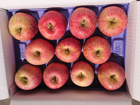 まるせい果樹園の春りんご　6㌔　贈答用　自家用　家庭用
