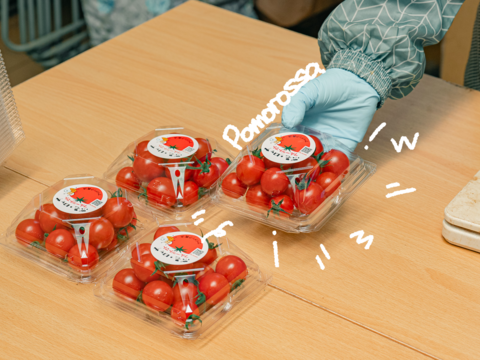 【ミックス】極上濃厚フルーツトマト「ポモロッサ」お試し用（1パック赤＋1パックミックス＋おまけ付）【トマト食べ比べ】