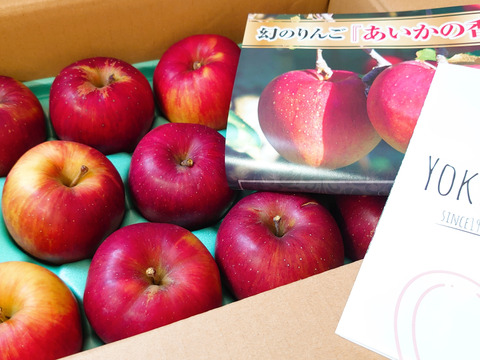 ≪最終出荷≫🏆食べチョクりんごグランプリ2025銀賞🏆幻のりんご【あいかの香り】ちょっぴり小玉の11玉　約3kg