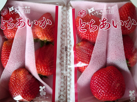 特大(2P) 500g以上【いちご・とちあいか】どでかいビックリサイズ厳選