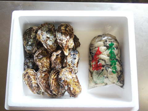 加熱用 殻付き牡蠣15ヶ 生食用 むき身１ｋ袋 または500ｇ 2袋 広島県産の貝類 食べチョク 産地直送 産直 お取り寄せ通販 農家 漁師から旬の食材を直送