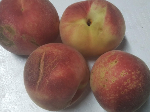 だて白桃(お家用)２kg×２箱