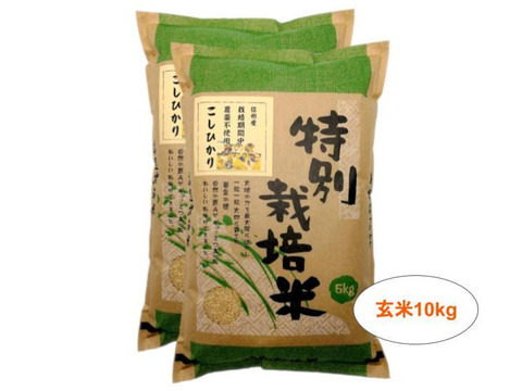 【玄米10kg】信州産 農薬不使用米 こしひかり (5kg×2袋) 令和2年産