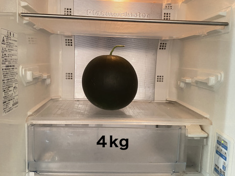 今期最終【自然栽培🍀固定種🍉黒小玉スイカ】4kg台（冷蔵庫サイズ）シャリっと甘くてジューシー（１個）