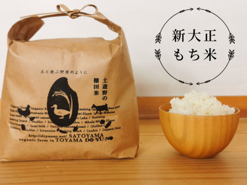 【令和４年産】有機新大正モチ２kg