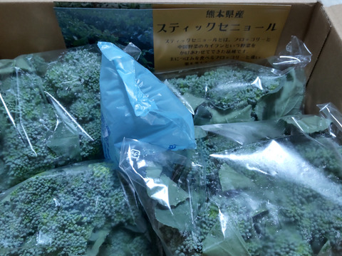 2kgスティックセニョール（茎ブロッコリー）