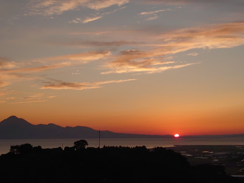 【自然栽培】 甘くておいしい 食べ出したら止まらない 極早生みかん（5K）