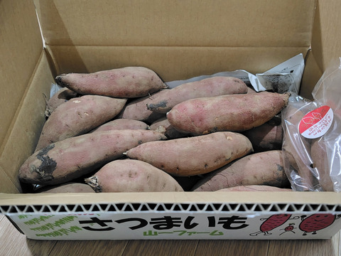 期待の新製品❣️ホクホク栗かぐや(Sサイズ3kg)