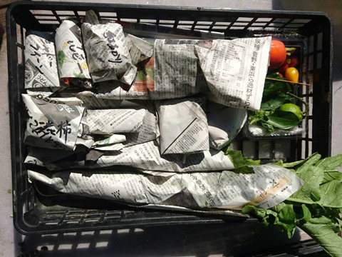 旬のおまかせ野菜セット[Sサイズ]