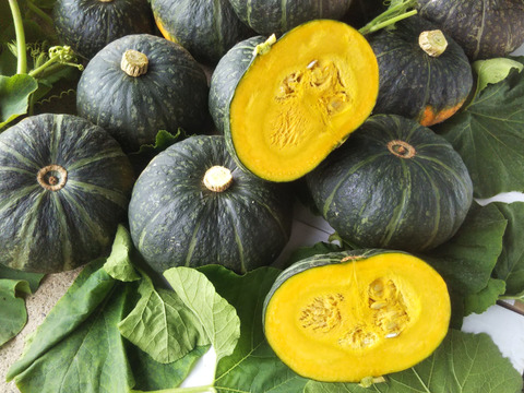 まろまろさん専用サイト
ふわトロ長ナス１．２ＫＧとブラックのジョーかぼちゃ２玉