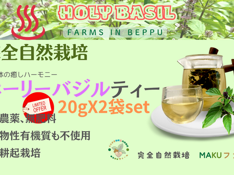 最終特価　ホーリーバジルティー　20g　合計２パックセット