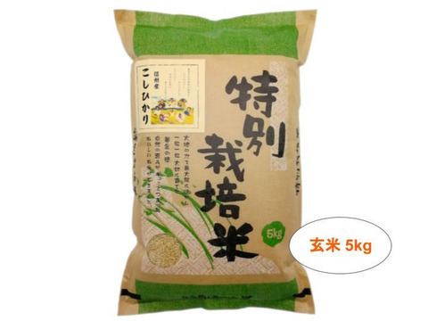 【新米予約】【玄米5kg】残留農薬ゼロ!情熱の結晶!つぶ感が人気の 信州産 こしひかり 令和3年産 新米 【10月上旬から順次発送】