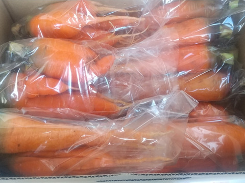 訳あり、自然栽培の人参5kg