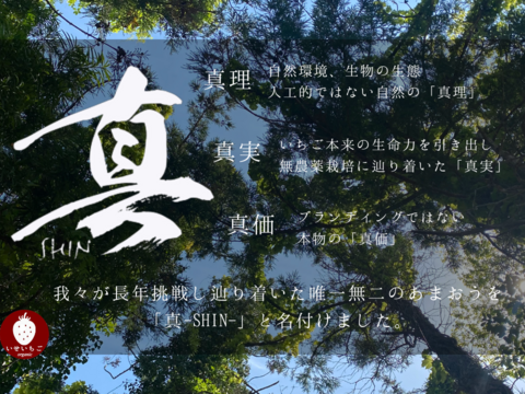 【訳あり】完熟！オーガニックあまおうB級（※6パックまで送料同じ）