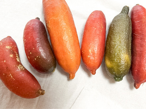 太陽たっぷり！ぷちぷち美味しいフィンガーライム100g