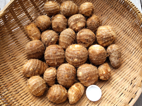 【自然栽培】 里芋２種類食べ比べセット！ 幻の里芋 烏播（ウーハン） ＆ 在来種の里芋 大野在来（大野芋）合計2.5kg