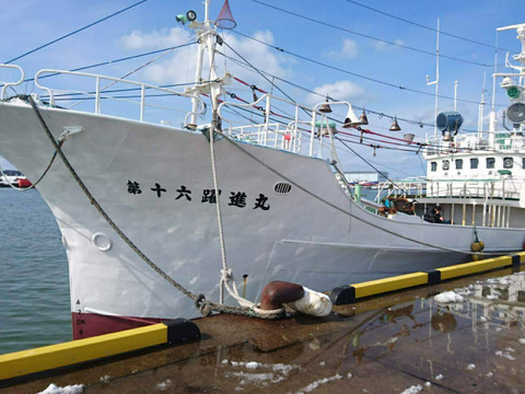 【青森県産　紅ズワイガニ&ツブ貝】おつまみセット!※(むき身約300ｇ×1、ツブ貝200ｇ×1)