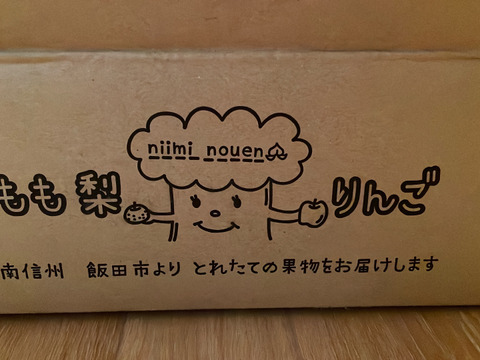 令和7年8月発送【予約】梨 幸水 良品2.2kg‼️ 長野県産
