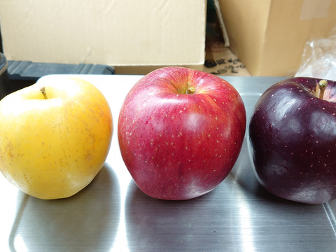 5品種ブレンド！無添加りんごチップス 3袋